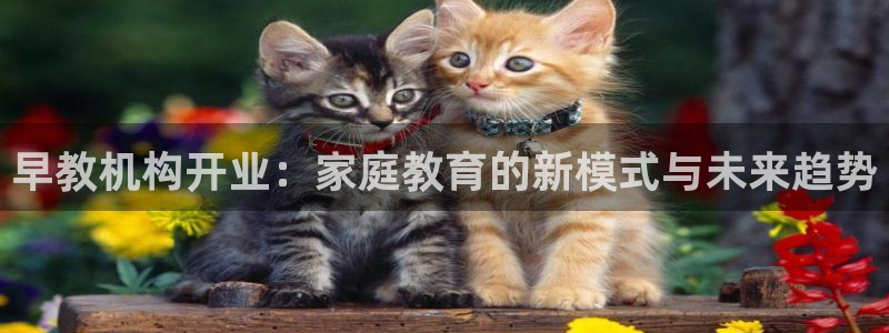 威九国际取款多到账:早教机构开业:家庭教育的新模式与未来趋势