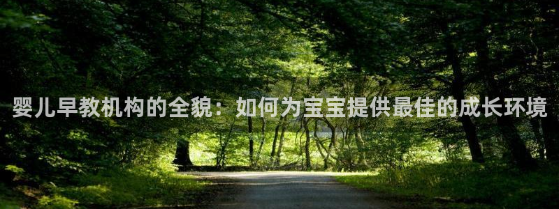 威九国际真人玩家在线对战:婴儿早教机构的全貌:如何为宝宝提供最佳的成长环境