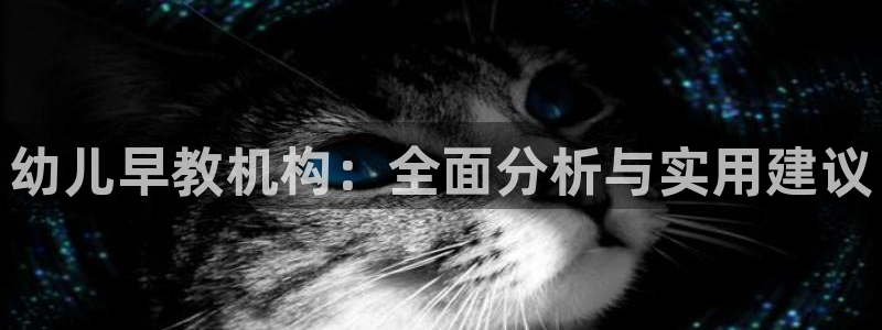 威九国际66:幼儿早教机构:全面分析与实用建议