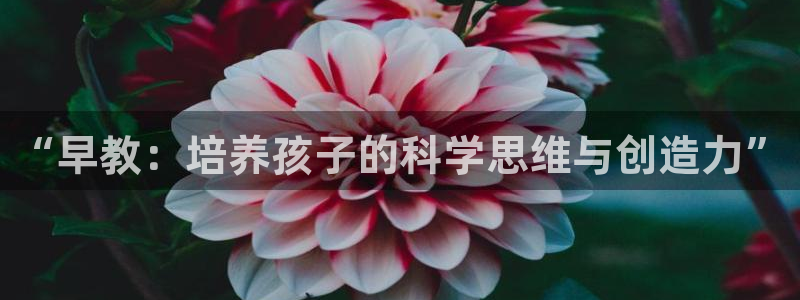 78.m威九国际官网版：“早教：培养孩子的科学思维与创造力”