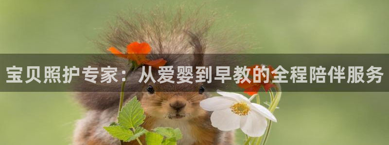 威九国际真人游戏：宝贝照护专家：从爱婴到早教的全程陪伴服务