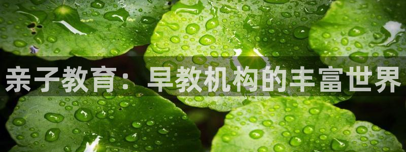威九国际网站下载：亲子教育：早教机构的丰富世界