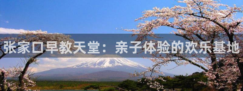 保定威九网络科技有限公司电话：张家口早教天堂：亲子体验的欢乐基地