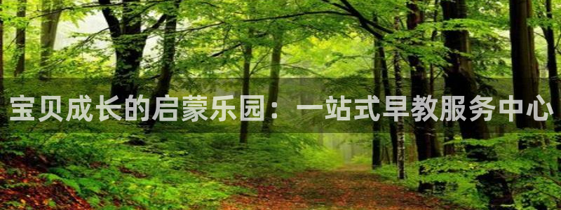 威九国际官网在线进入网站查询网址:宝贝成长的启蒙乐园:一站式早教服务中心