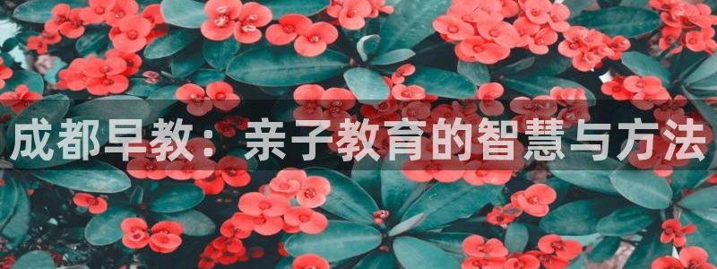 威九国际78m小说：成都早教：亲子教育的智慧与方法