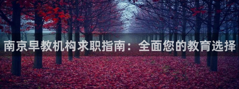 威九国际网站官网：南京早教机构求职指南：全面您的教育选择