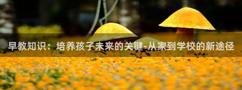 威九国际网站经常打不开网页：早教知识：培养孩子未来的关键-从家到学校的新途径