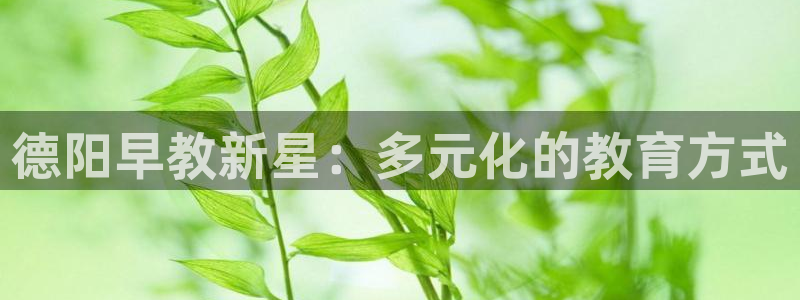 威九国际EVA：德阳早教新星：多元化的教育方式