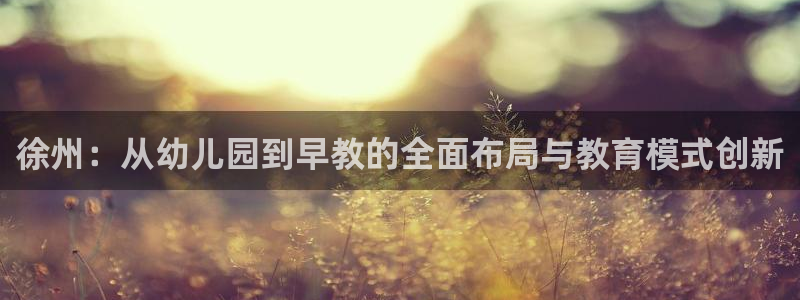 威九cp：徐州：从幼儿园到早教的全面布局与教育模式创新