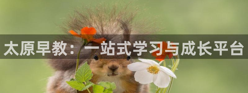 威九国际客服电话是多少：太原早教：一站式学习与成长平台
