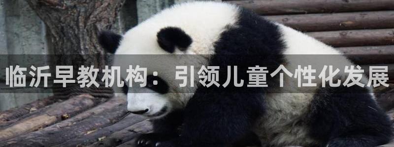 威九国际客服电话号码是多少：临沂早教机构：引领儿童个性化发展