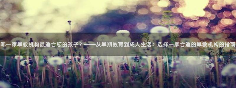 威九国际小说：哪一家早教机构最适合您的孩子？——从早期教育到成人生活：选择一家合