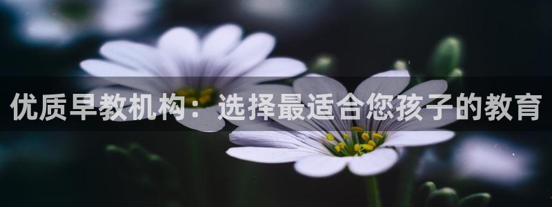 威九国际网站进入客服中心:优质早教机构:选择最适合您孩子的教育