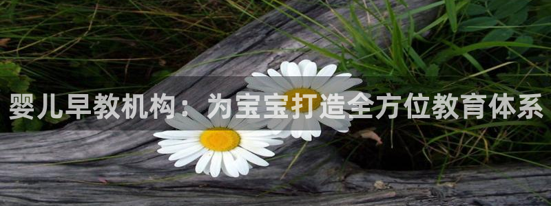 威九国际可以提现吗安全吗:婴儿早教机构:为宝宝打造全方位教育体系