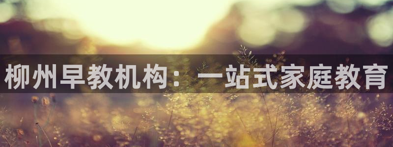 威九国际66m66:柳州早教机构:一站式家庭教育