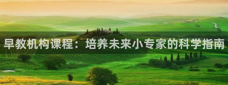 威九国际v9:早教机构课程:培养未来小专家的科学指南