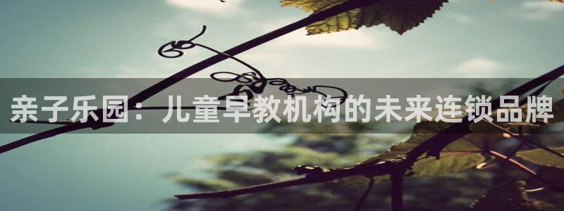 威九国际官方网站:亲子乐园:儿童早教机构的未来连锁品牌