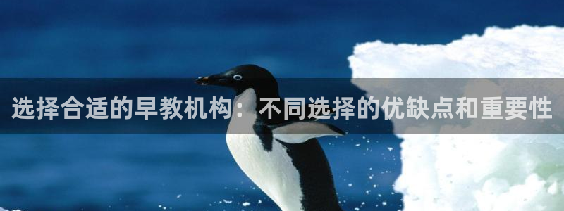 威九国际网站为什么不禁止：选择合适的早教机构：不同选择的优缺点和重要性