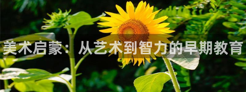 威九国际免费进入：美术启蒙：从艺术到智力的早期教育