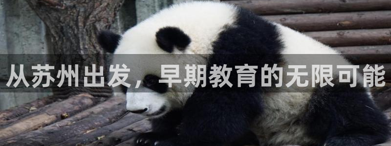 威九国际h5：从苏州出发，早期教育的无限可能