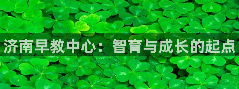 威九国际娜娜:济南早教中心:智育与成长的起点