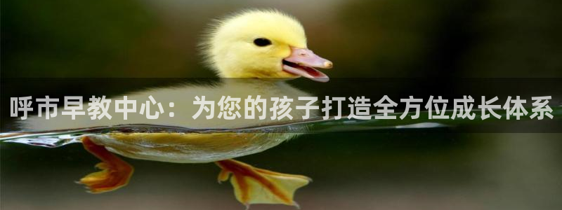 威九国际免费版:呼市早教中心:为您的孩子打造全方位成长体系