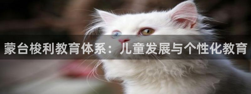 威九国际惠子:蒙台梭利教育体系:儿童发展与个性化教育