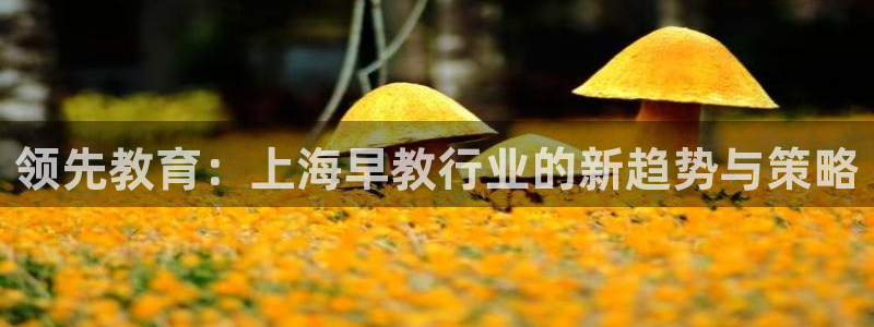 66m威九国际精选:领先教育:上海早教行业的新趋势与策略