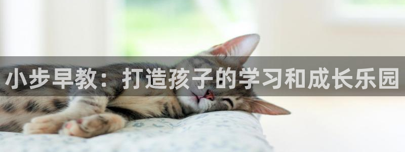 威九国际免费游戏:小步早教:打造孩子的学习和成长乐园