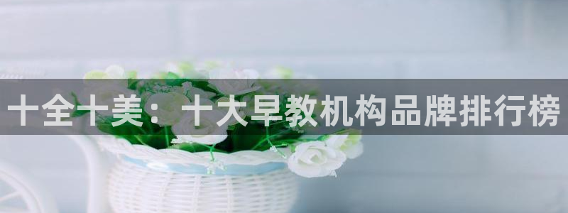 威九国际APP:十全十美:十大早教机构品牌排行榜