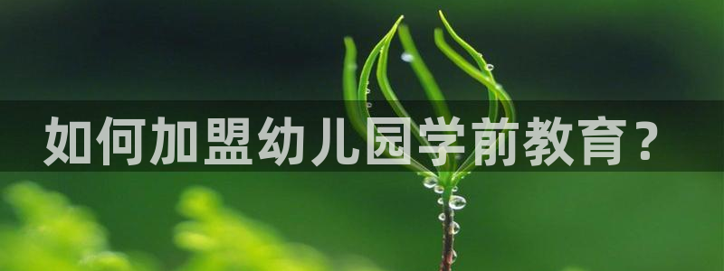 威九国际网站更新了吗：如何加盟幼儿园学前教育？