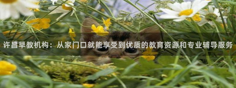 威九国际网站传媒：许昌早教机构：从家门口就能享受到优质的教育资源和专业辅导服务