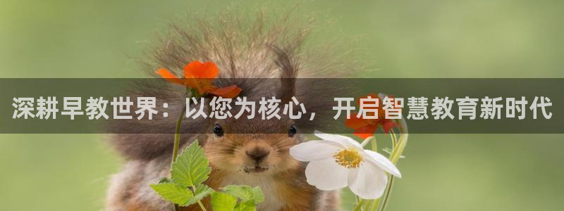 威九国际com：深耕早教世界：以您为核心，开启智慧教育新时代