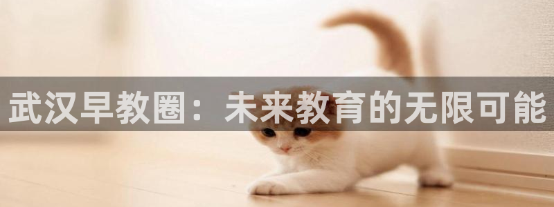 威九国际海域：武汉早教圈：未来教育的无限可能