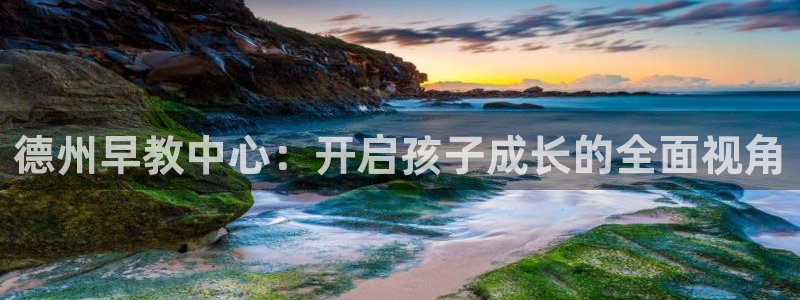 威九国际app下载：德州早教中心：开启孩子成长的全面视角