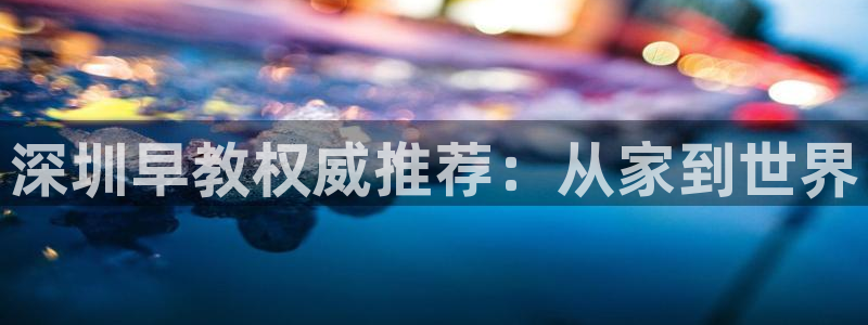 威九国际软件公司简介:深圳早教权威推荐:从家到世界