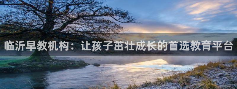 威九国际女：临沂早教机构：让孩子茁壮成长的首选教育平台