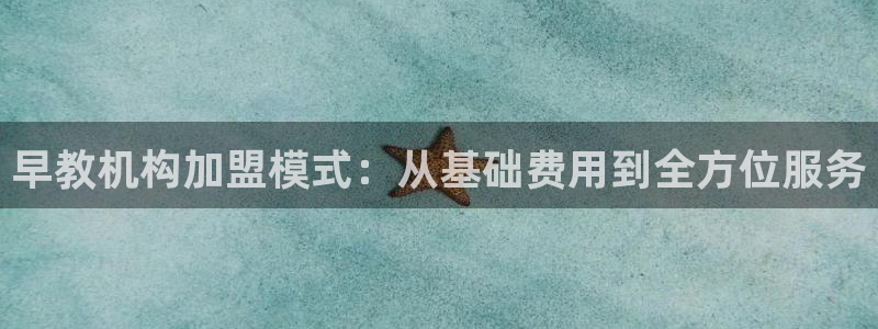 威九国际软件公司简介：早教机构加盟模式：从基础费用到全方位服务