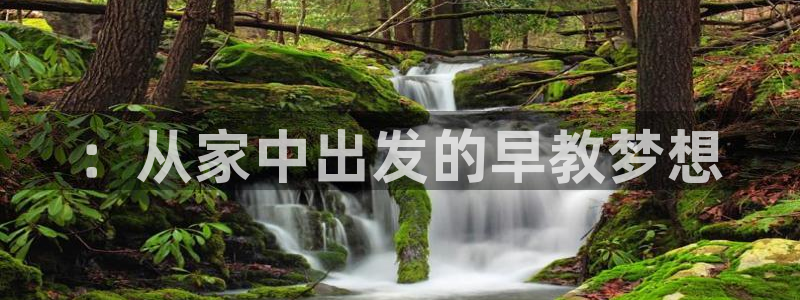 威九国际的金融服务有哪些：：从家中出发的早教梦想