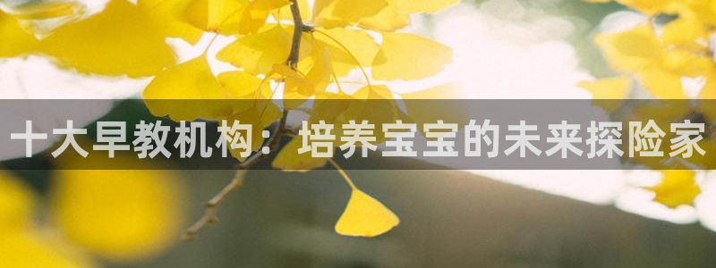 保定威九网络科技有限公司电话：十大早教机构：培养宝宝的未来探险家