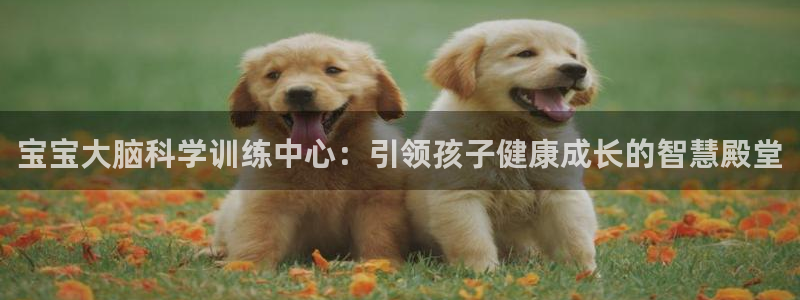 威九国际网站入口&rdpuo:宝宝大脑科学训练中心:引领孩子健康成长的智慧殿堂