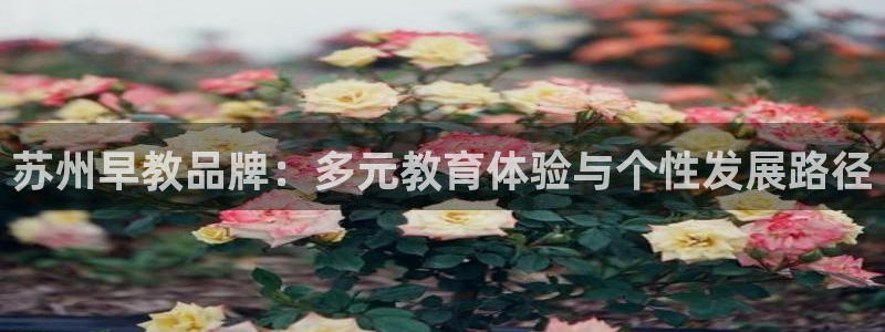 威九国际app：苏州早教品牌：多元教育体验与个性发展路径