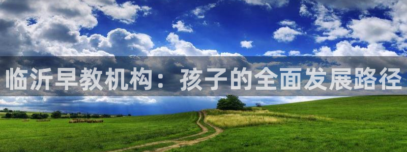 威九国际全国空降：临沂早教机构：孩子的全面发展路径