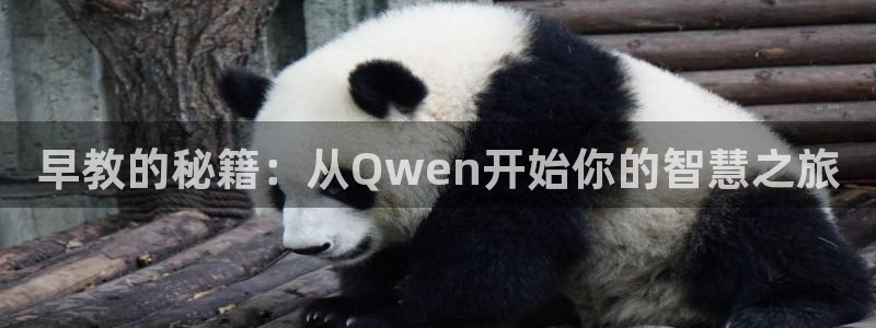 威九国际78mob网页:早教的秘籍:从Qwen开始你的智慧之旅