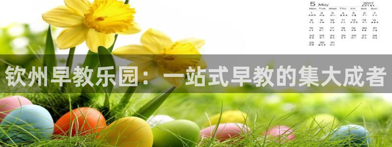 威九国际app下载：钦州早教乐园：一站式早教的集大成者