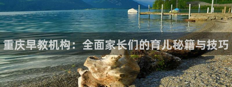 威九国际官网登录入口下载：重庆早教机构：全面家长们的育儿秘籍与技巧