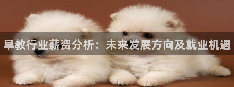 威九国际网站下载:早教行业薪资分析:未来发展方向及就业机遇