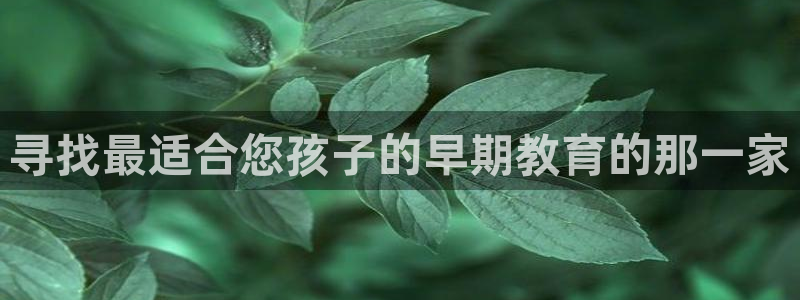 威九国际网站链接怎么打开:寻找最适合您孩子的早期教育的那一家