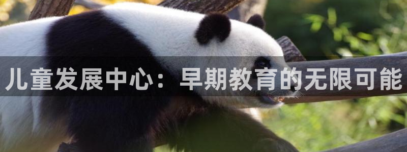 威九国际特殊奖励我的奖励竟然是嫂子：儿童发展中心：早期教育的无限可能