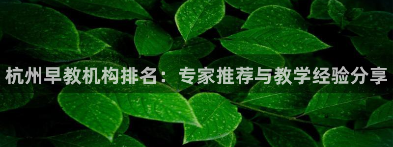 威九国际精：杭州早教机构排名：专家推荐与教学经验分享